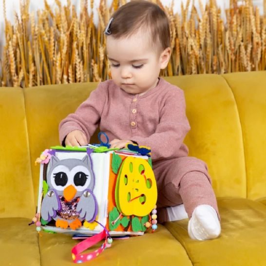 Cubo delle meraviglie - Foresta